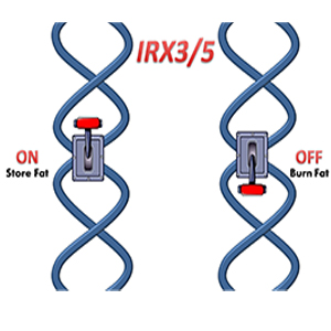 Turning Genes On and Off